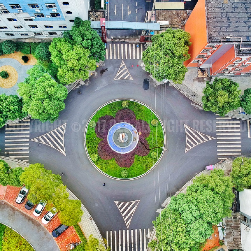 迪育橋職校網