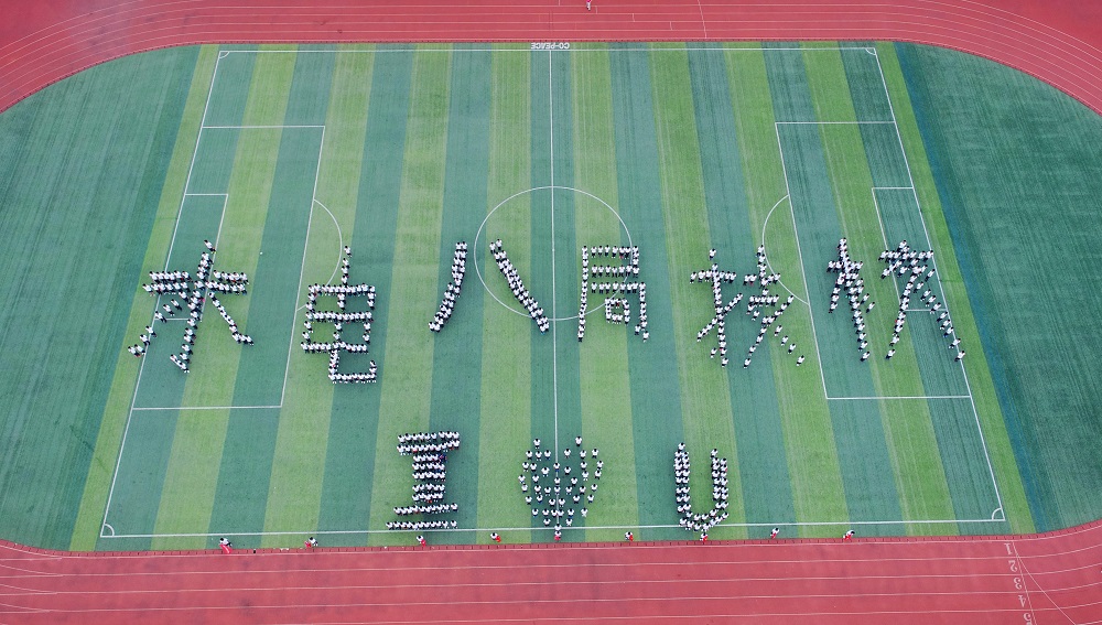 迪育橋職校網