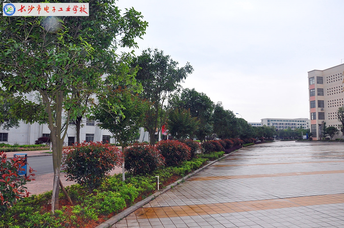
長沙市電子工業學校校園綠化