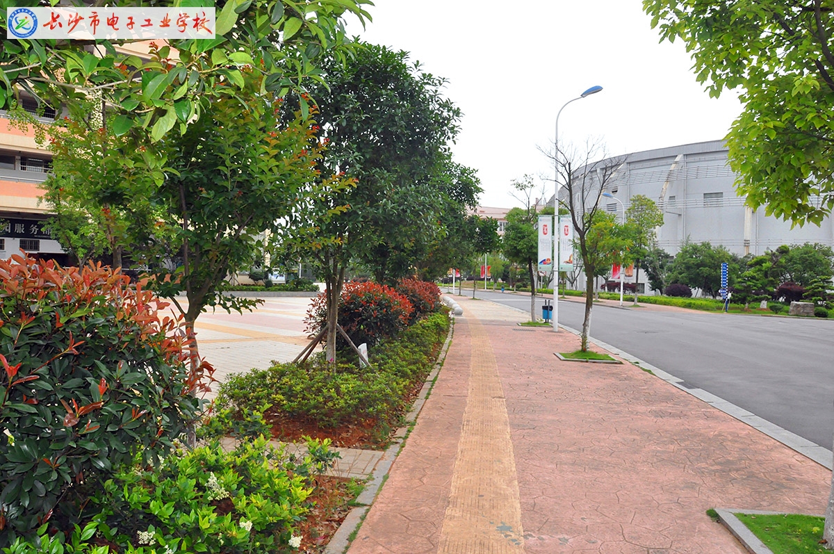 
長沙市電子工業學校菁菁校園