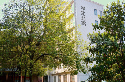 迪育橋職校網