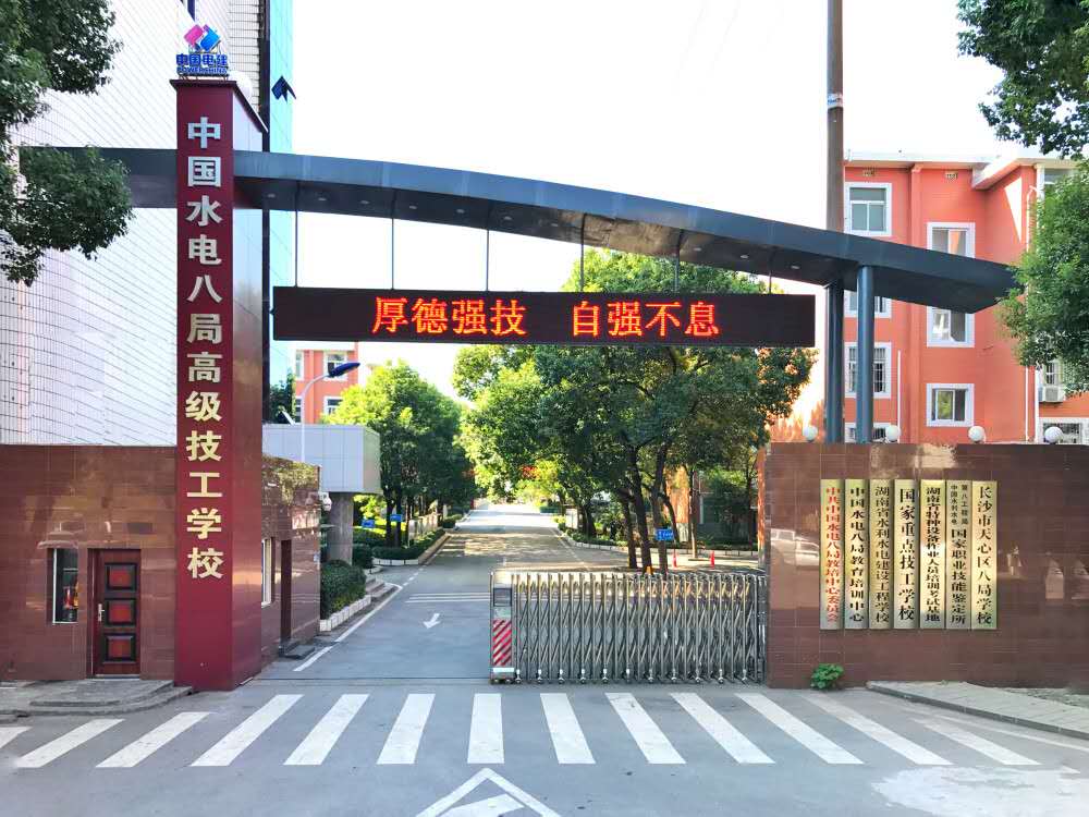 迪育橋職校網