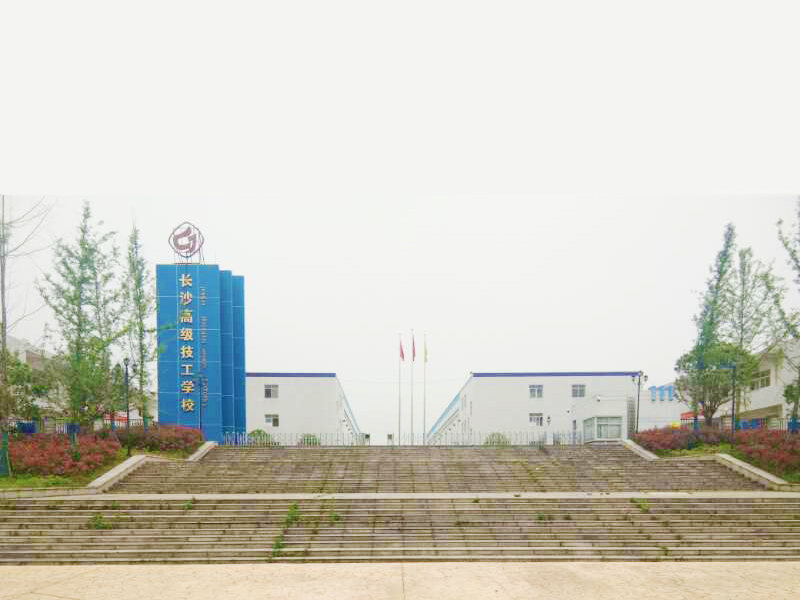 迪育橋職校網