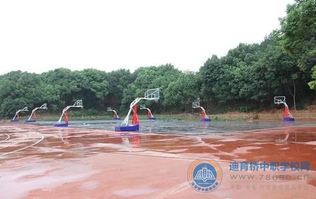迪育橋職校網
