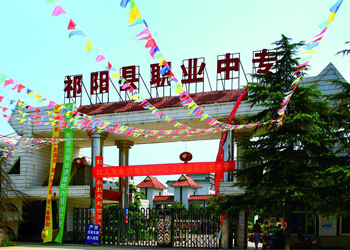 迪育橋職校網